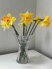 Vintage Crystal Cut Glass Vase