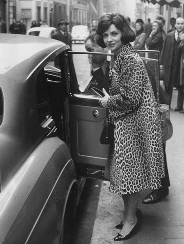 Italian actress gina - actress,