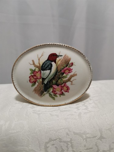 Ornament featuring bird - ornament,