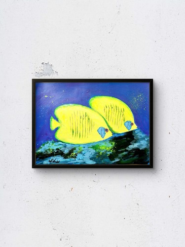 Colourful exotic fish - colourful, fish"