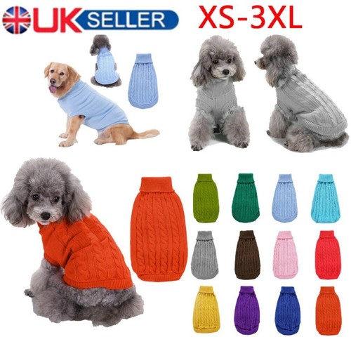 Winter knitted puppy dog - puppy,
