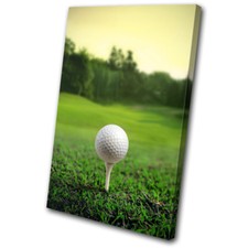 Golf Ball on Tee Outdoors