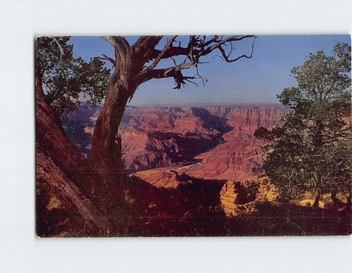 Postcard grand canyon panorama - grand,