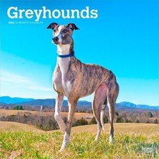 Greyhounds Calendar 2026 |