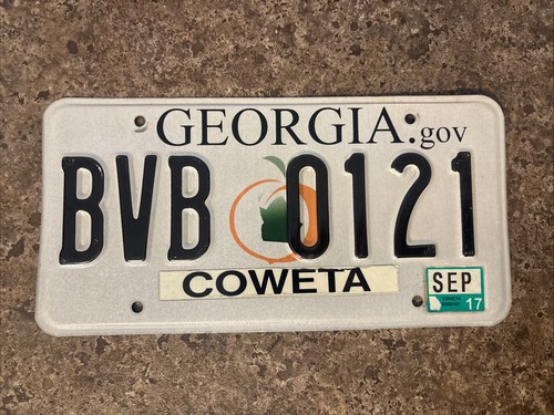 2017 georgia license - 2017,
