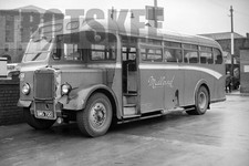 35mm Negative Alexander