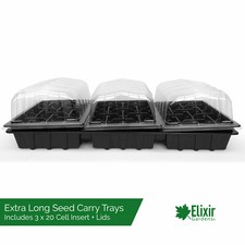 Plant Seed Starter Seedling