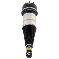 Rear Air Suspension Strut