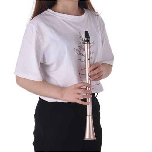 Mini pocket saxophone - saxophone, bb