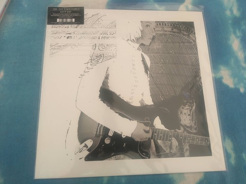 The joy formidable - formidable,