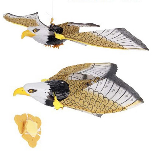 Fake eagle statue decoy sound - fake,
