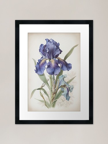 Vintage botanical blue iris - botanical,