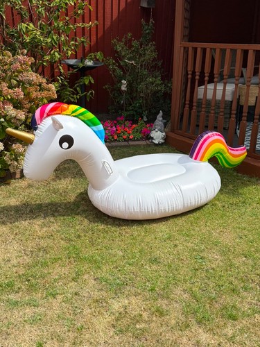 Large inflatable pool float - large,
