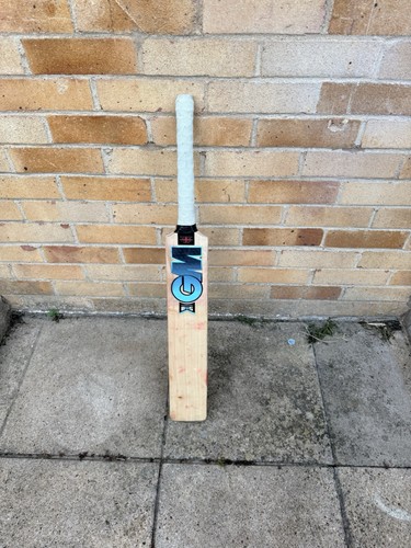 Cricket bat - cricket,