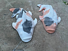 Pair of multi-coloured Koi