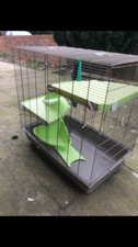 RAT FERRET HOME