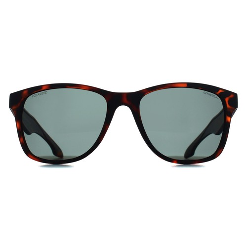 Neill sunglasses shore 102p - sunglasses,