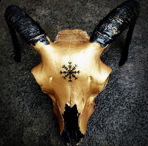 Real ram skull hand - real,