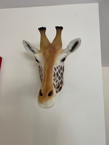 Resin giraffe head - head, mount