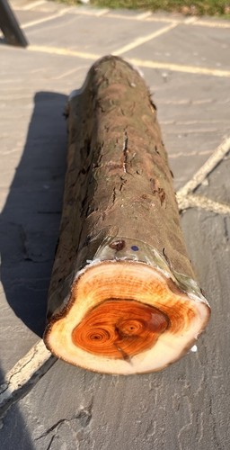 English yew woodturning - english,