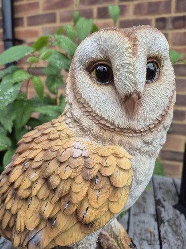 Barn owl garden - 🦉,
