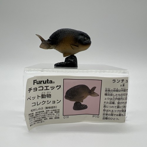 Kaiyodo furuta choco - choco, q