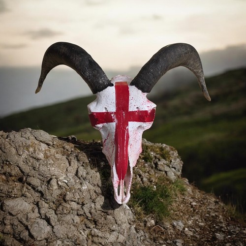 England flag inspired sheep - flag,