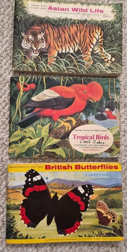 Brooke tea cards tropical - brooke,