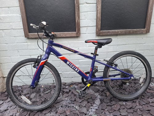 Wiggins chartres - wiggins, 20"