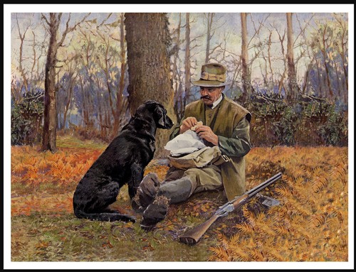Labrador retriever man and - labrador,
