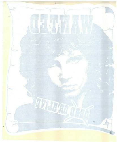 Vintage the doors jim - the, morrison