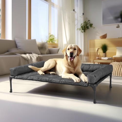 Veehoo raised dog - raised,