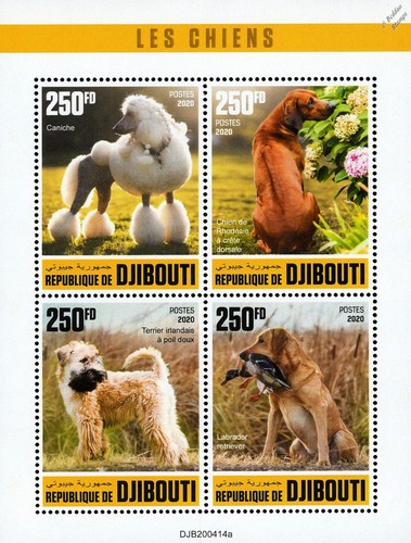 Dogs poodle ridgeback wheaten - dogs, (poodle/ridgeback/wheaten