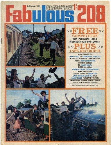 Fabulous 208 magazine august - 3,