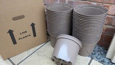 Plant Pots, 40 Used 5 Litre, TEKU, Round Rigid, Taupe, PP 100% Recyclable