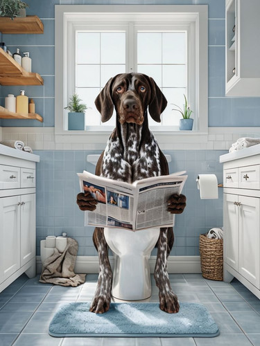 German shorthaired pointer - german,