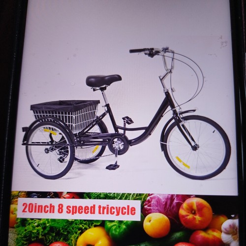 Inch adult tricycle 8 - inch,