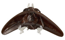Copper Boomerang Dish Decor -