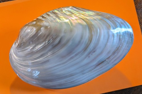 Great collectible very - , rare