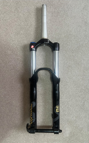 Rockshox domain 318 - domain,