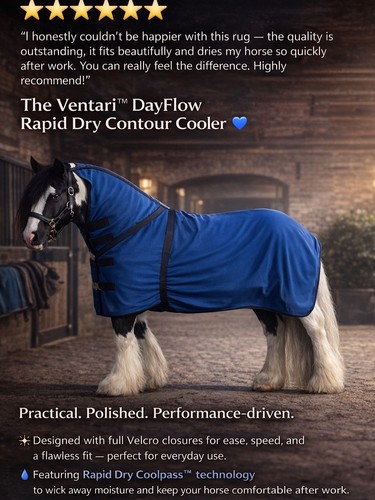 Rapid dry horse rug cooler - rug,