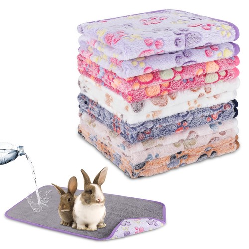 Waterproof guinea pig - waterproof,
