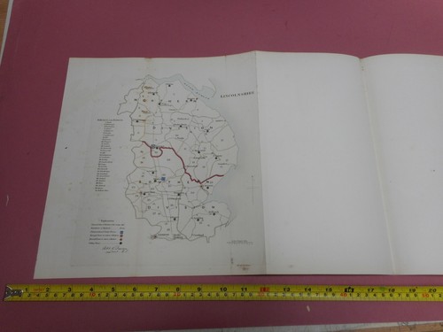 100 original lincolnshire - 100%,