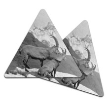 2x Triangle Coaster - BW -