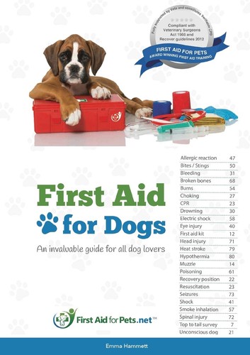 First aid for - first, an