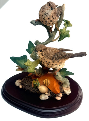 Pair thrushes with ivy - pair, of