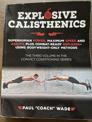 Explosive calisthenics paul - explosive,