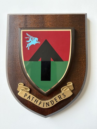 Parachute regiment pathfinders - parachute,