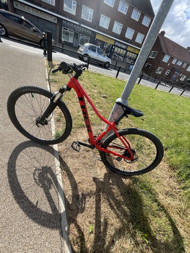 Trek marlin mountain bike - trek,