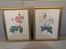 Vintage Pierre Joseph Redoute